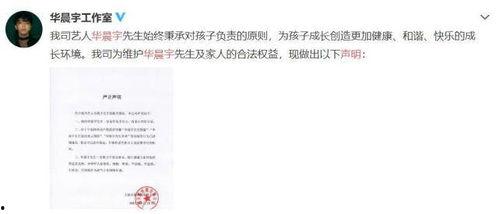 吃瓜作文娱乐圈,吃瓜群众眼中的繁华与喧嚣