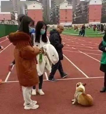 娱乐吃瓜酱操场,揭秘操场背后的那些事儿