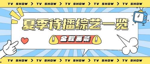 吃瓜营销号娱乐号是什么