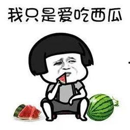 这不是娱乐吃瓜